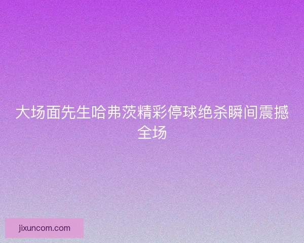 大场面先生哈弗茨精彩停球绝杀瞬间震撼全场